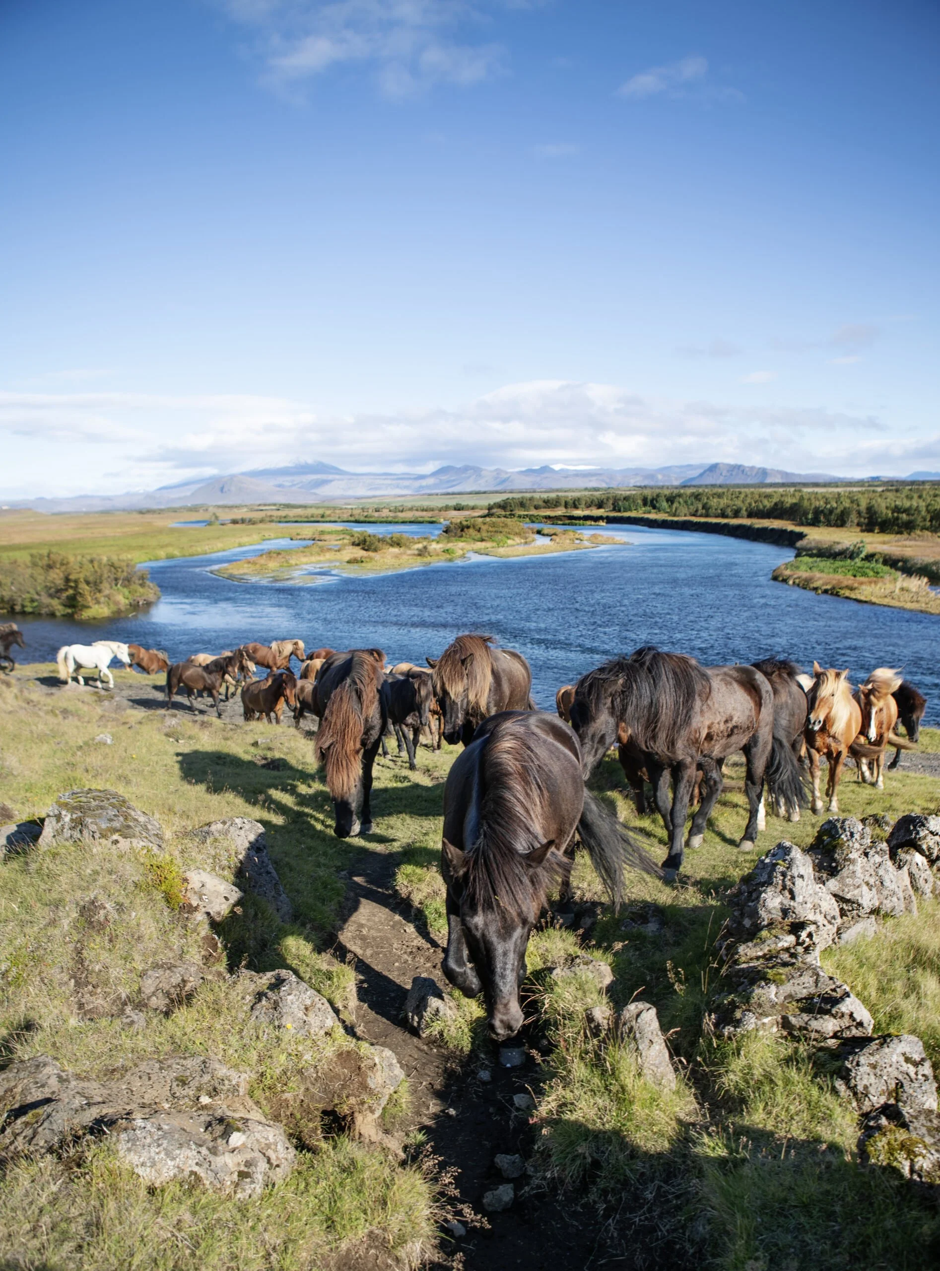 Hekla 8.jpg