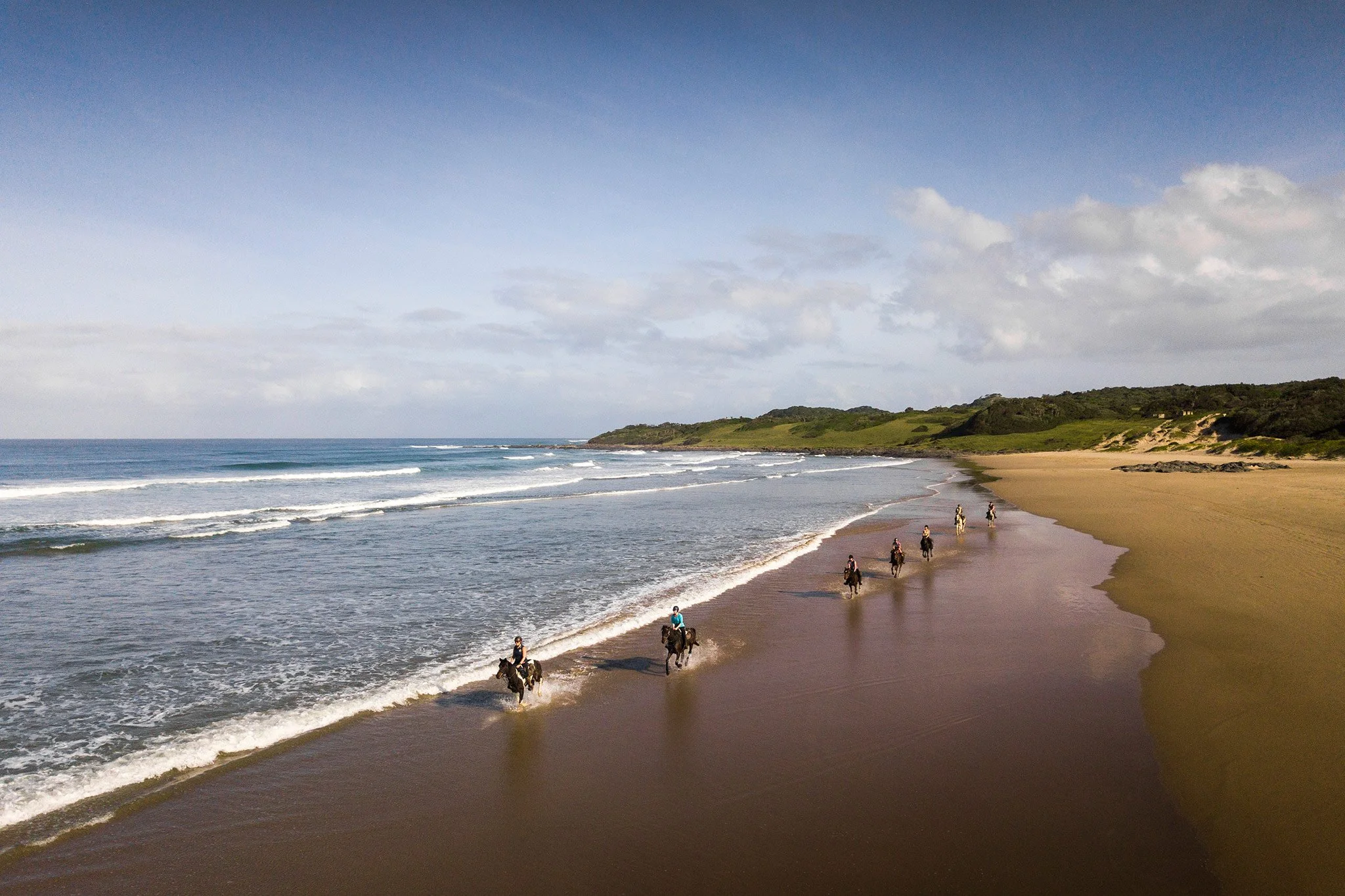045_WildCoast.jpg