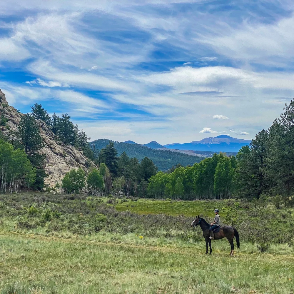 Bring Your Own Horse Riding Trips in Colorado — Equescapes Equestrian ...