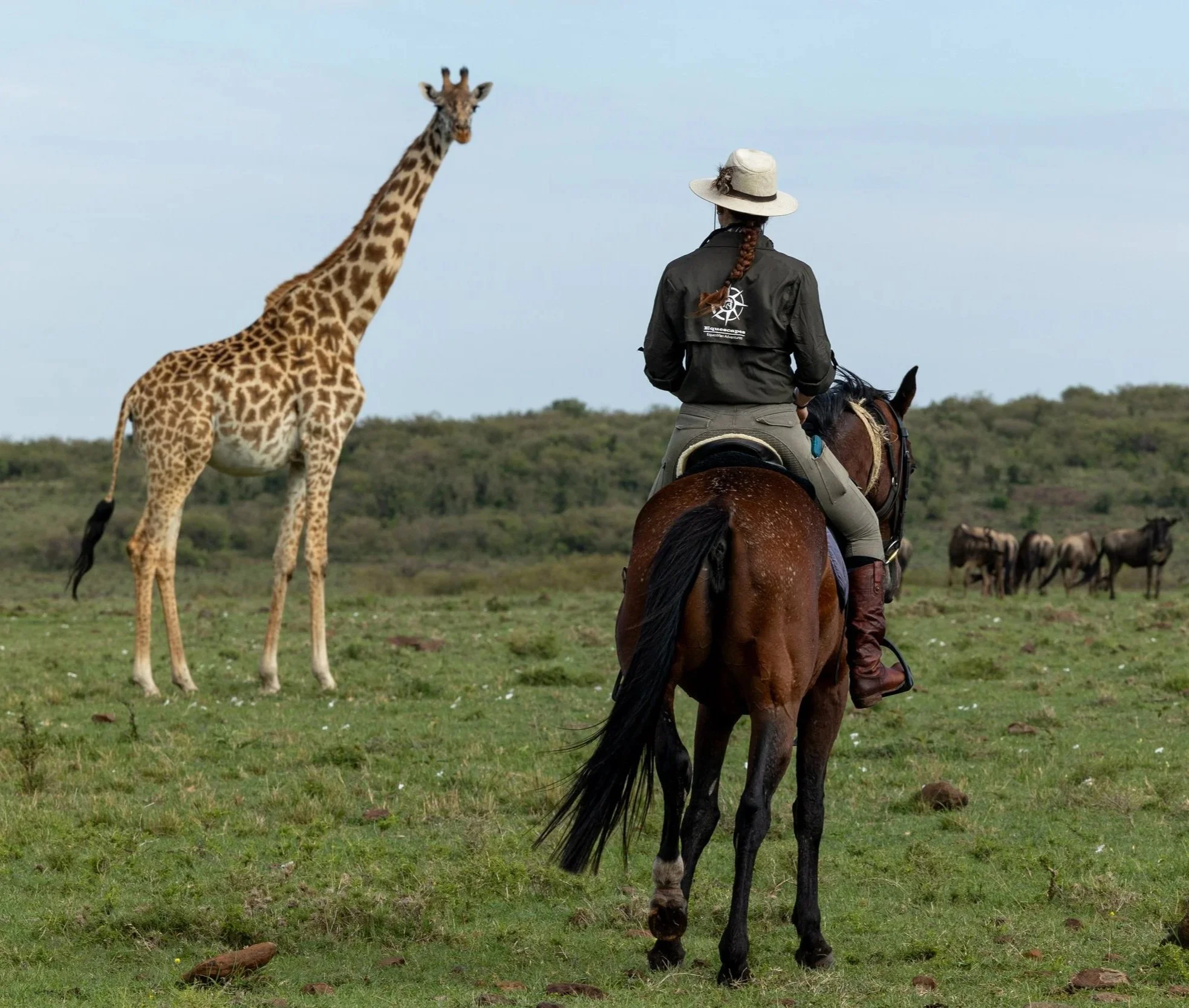 Equescapes+Womens+Safari+Shirt1.jpg