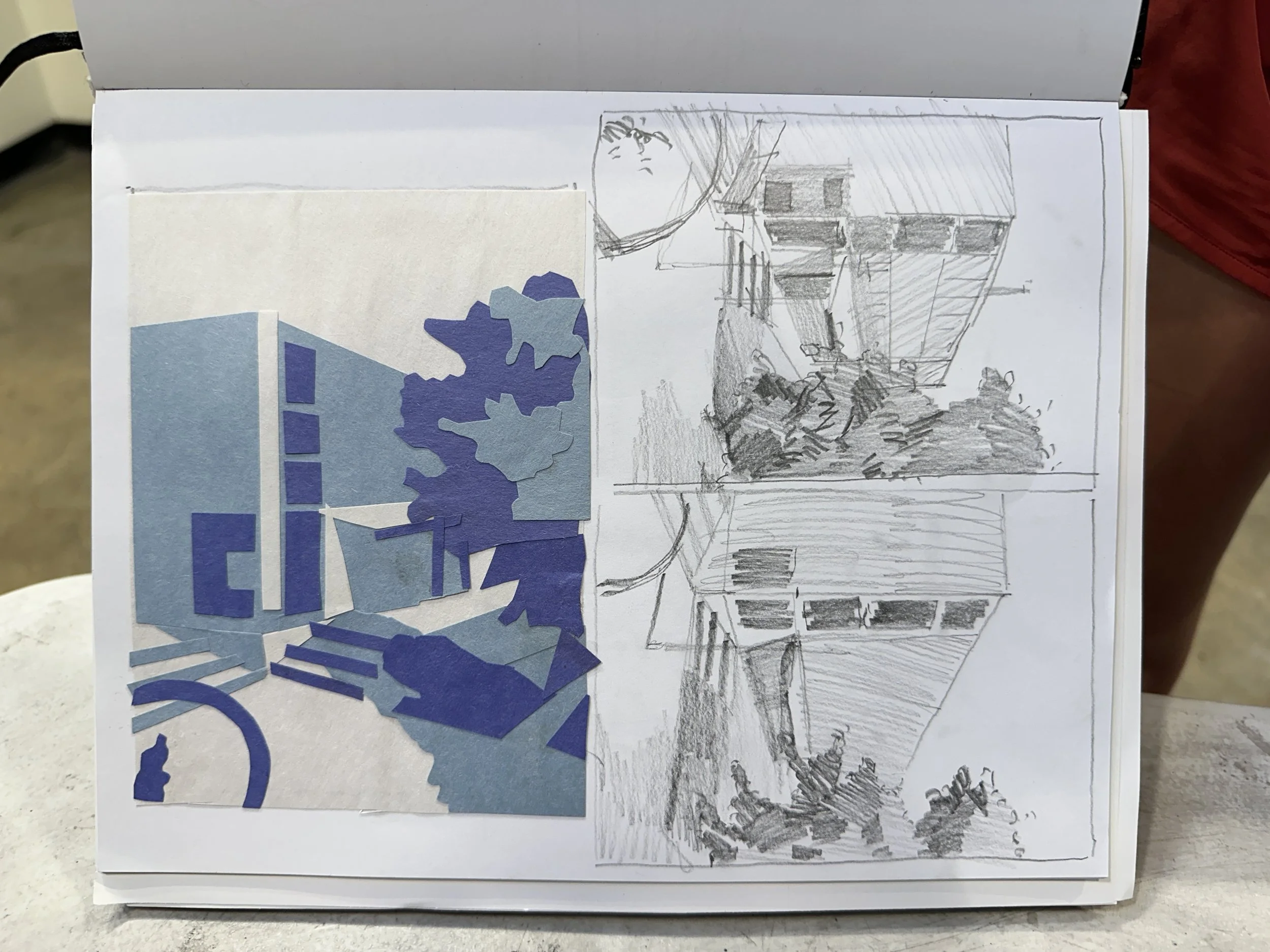 Violet Walsh 3 tone 2.JPG