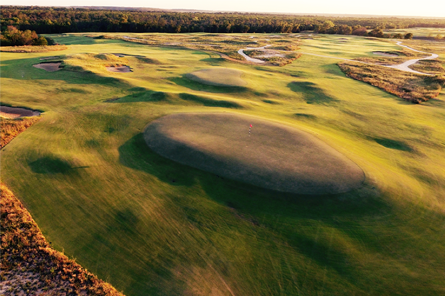 TrinityForest1.png