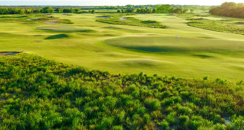 TrinityForest3.png