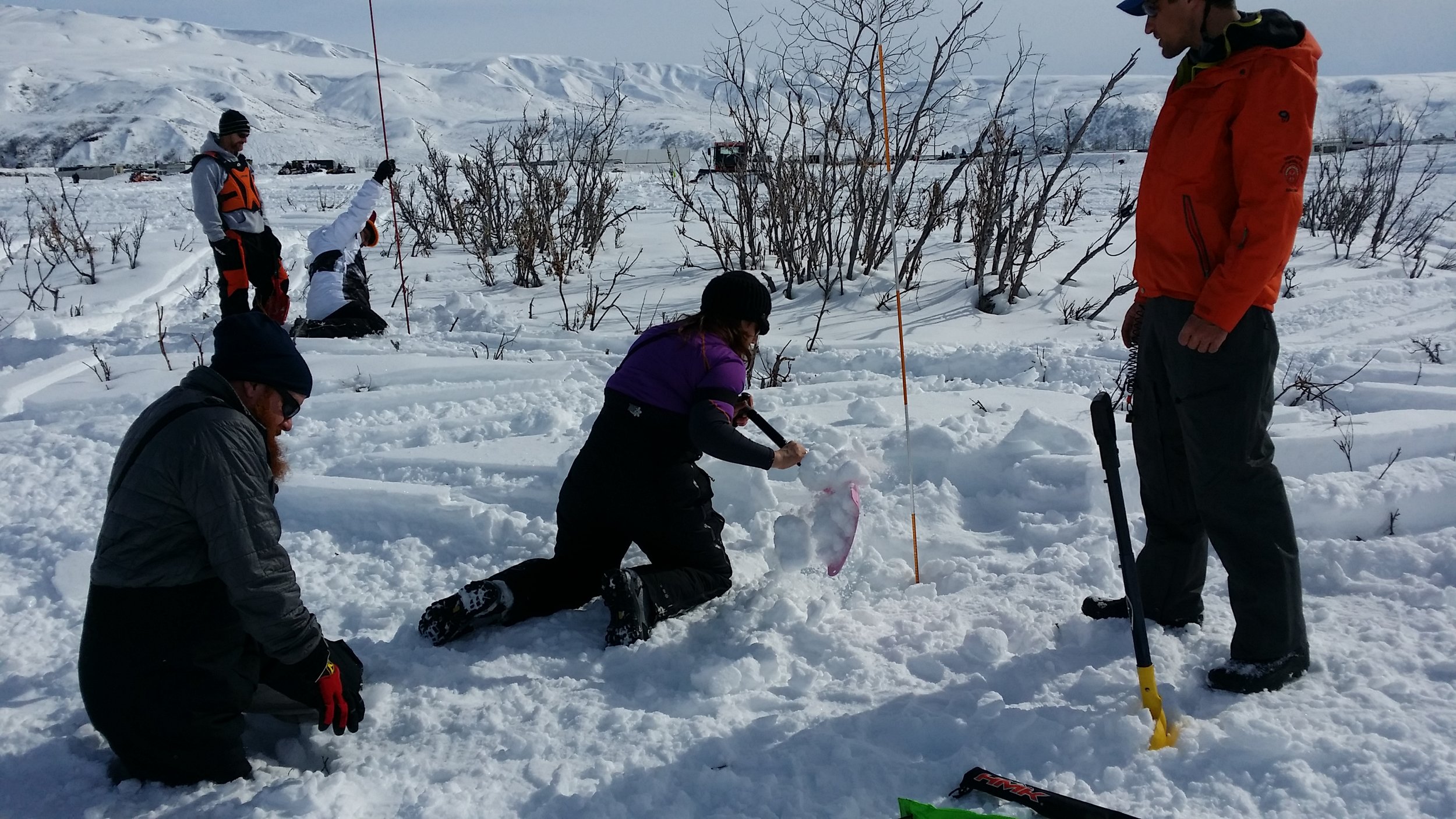 A group of riders take time to practice avalanche rescue at Arctic Man.