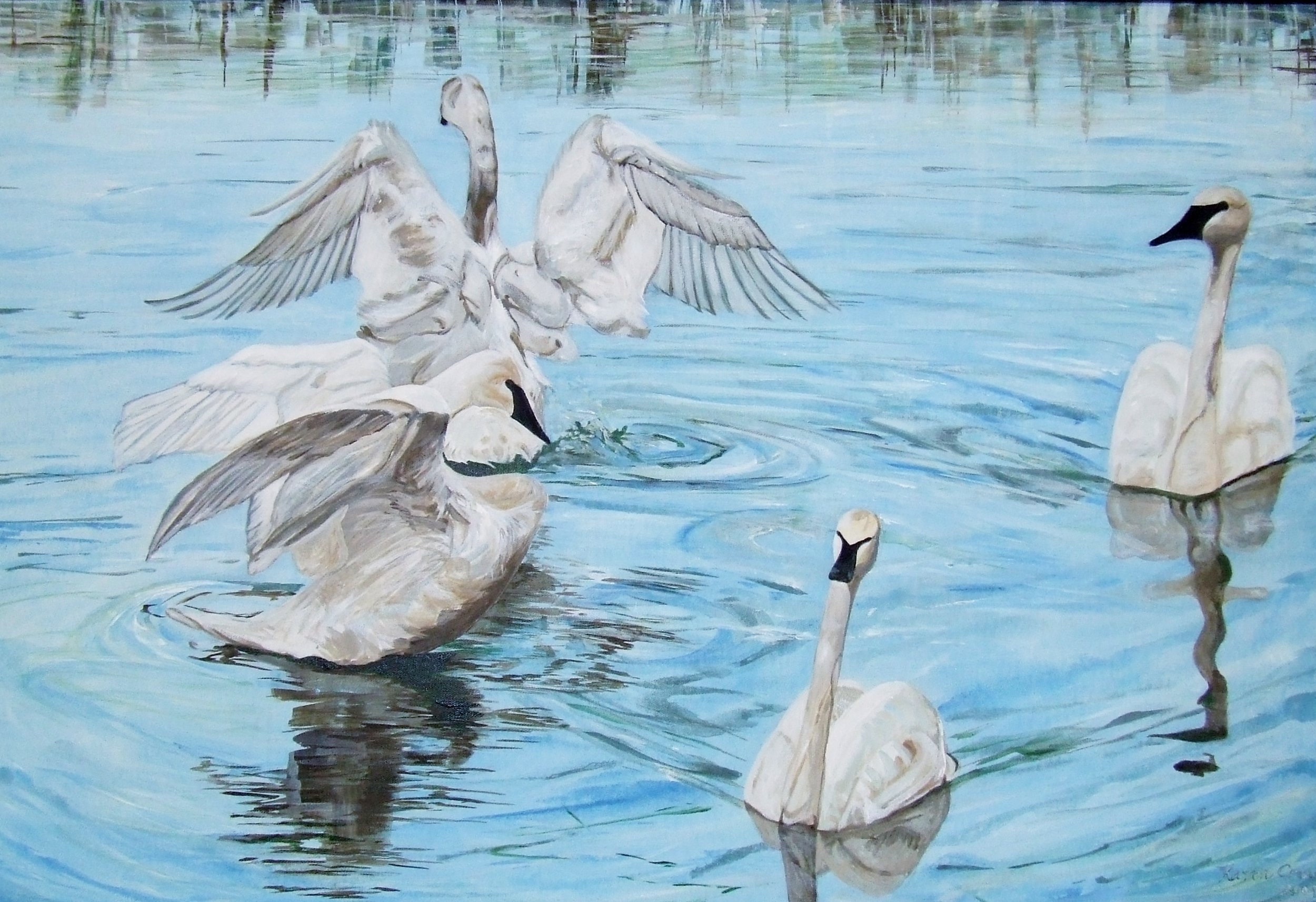  Swans at Birch Lake - Original Acrylic on Canvas 