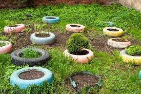 COMMUNITY - Is It Safe To Use Old Tires As Planters 1.jpg