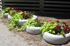 COMMUNITY - Is It Safe To Use Old Tires As Planters 2.jpg