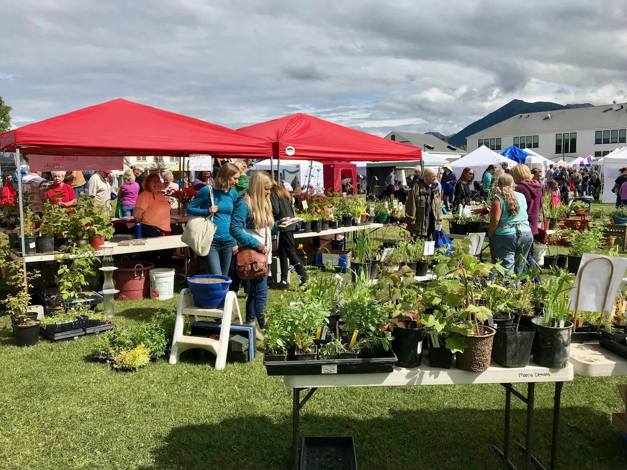 Valley Garden Club Annual Plant Sale The People S Paper Make A Scene