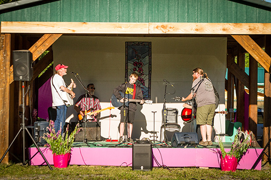 MAS - 14th Annual Fireweed Festival (1) WEB.jpg