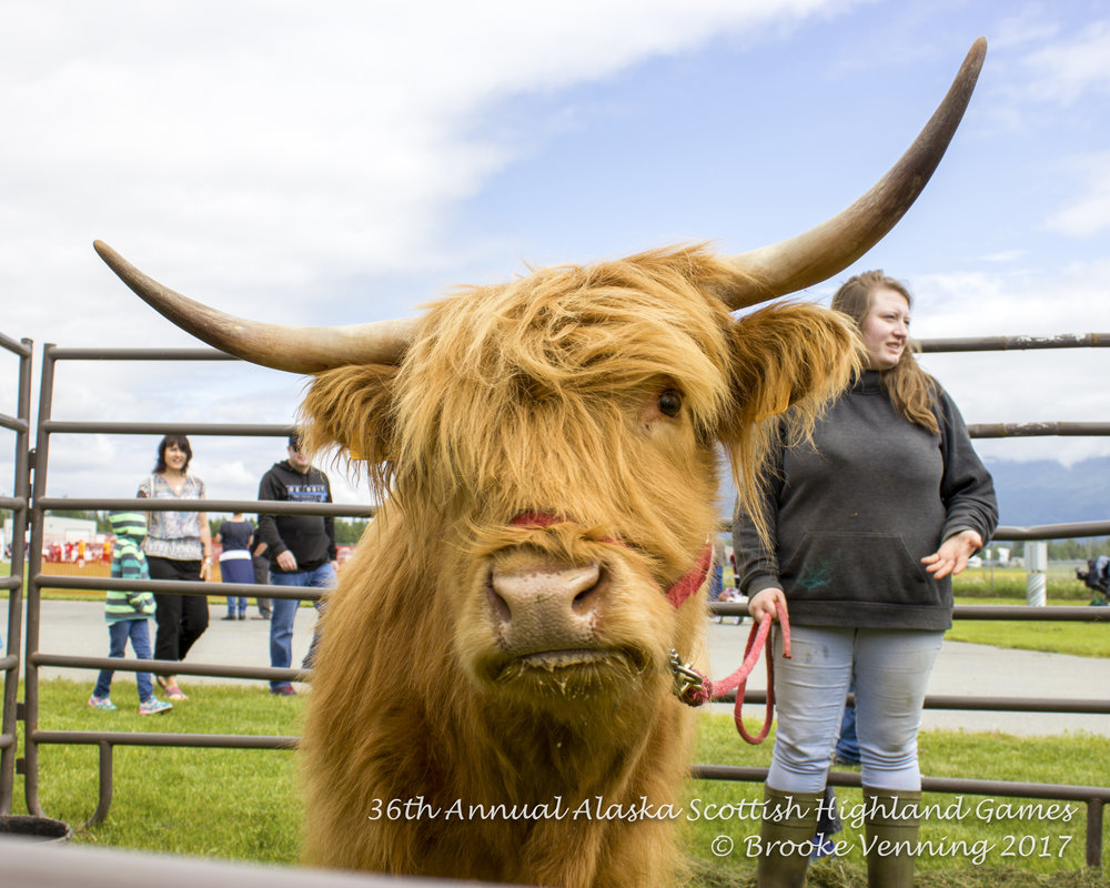 COMMUNITY - 38th Annual Scottish Highland Games (24).jpg