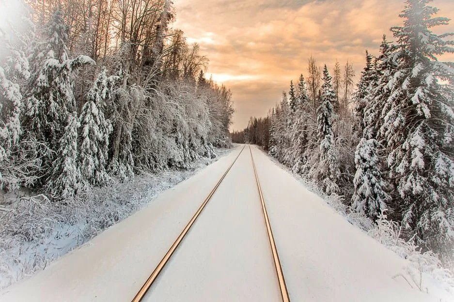 John Gould: An Eye for the Camera 