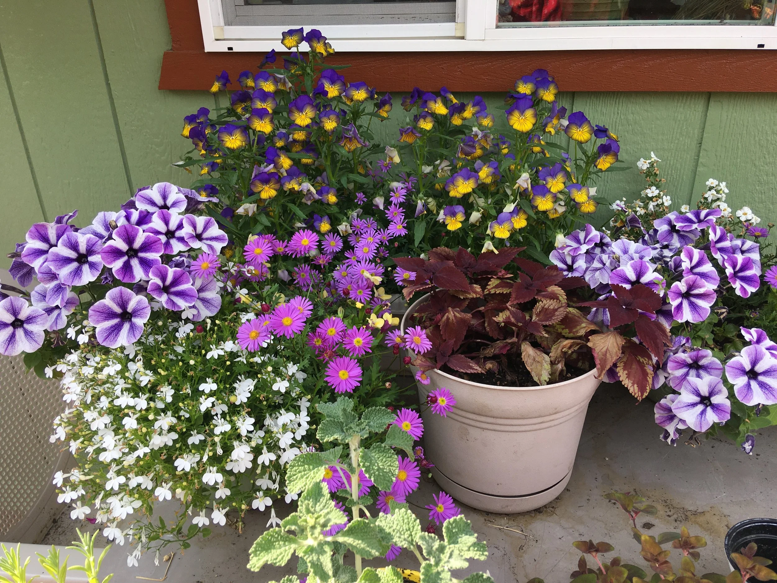Valley Garden Club Spring Plant Sale