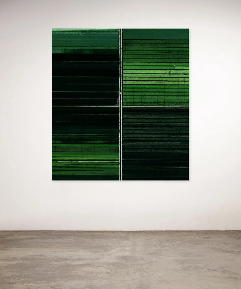 Sugarecanes-UpOnWalls.jpg