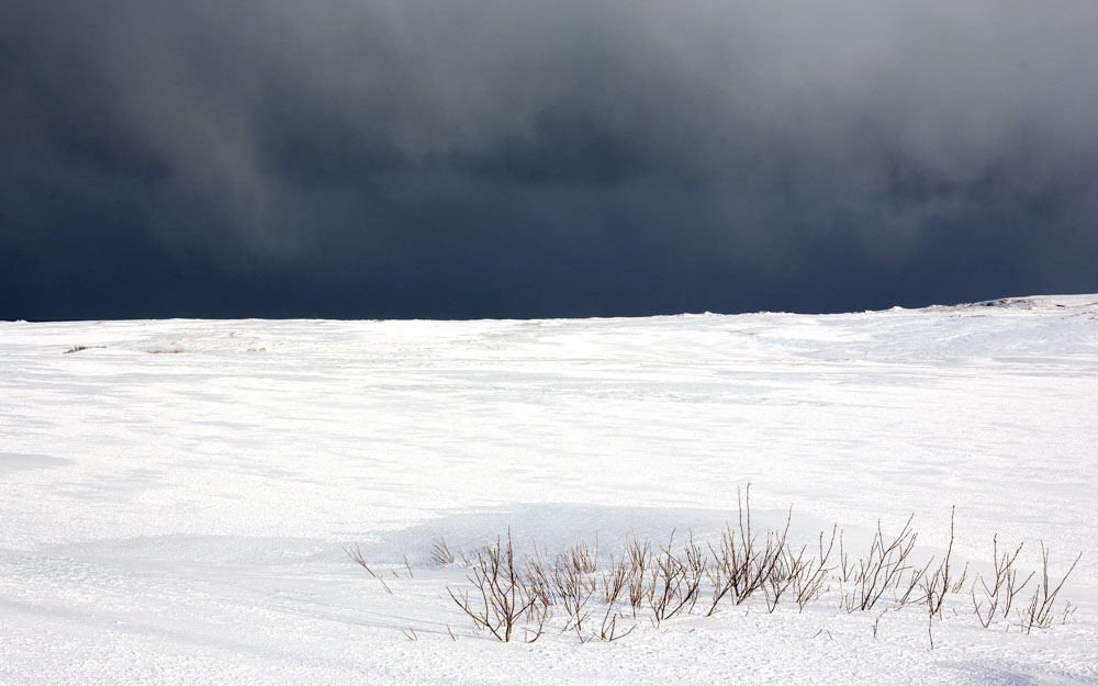 ©Uponwalls-Never mind the Northern Light_No3.jpg