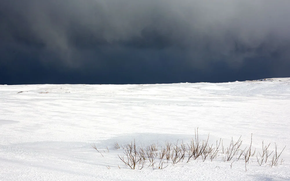 ©Uponwalls-Never mind the Northern Light_No3.jpg