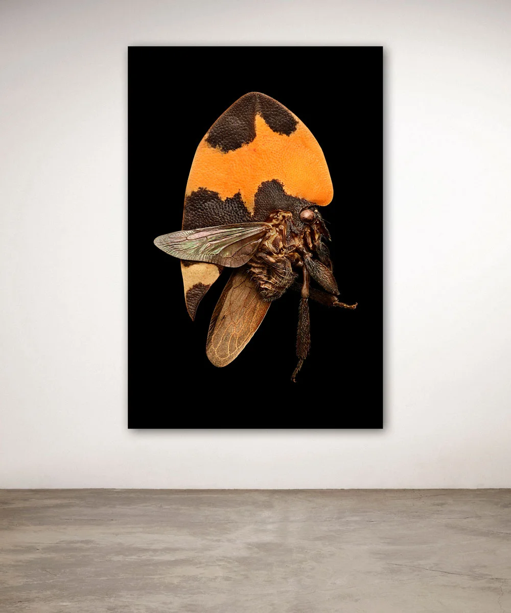 Uponwalls_Treehopper+wall.jpg