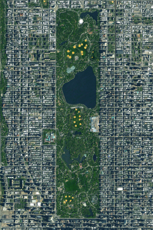 Central+Park+Vertical.png