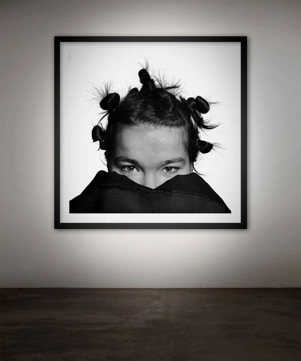 Björk6.jpg