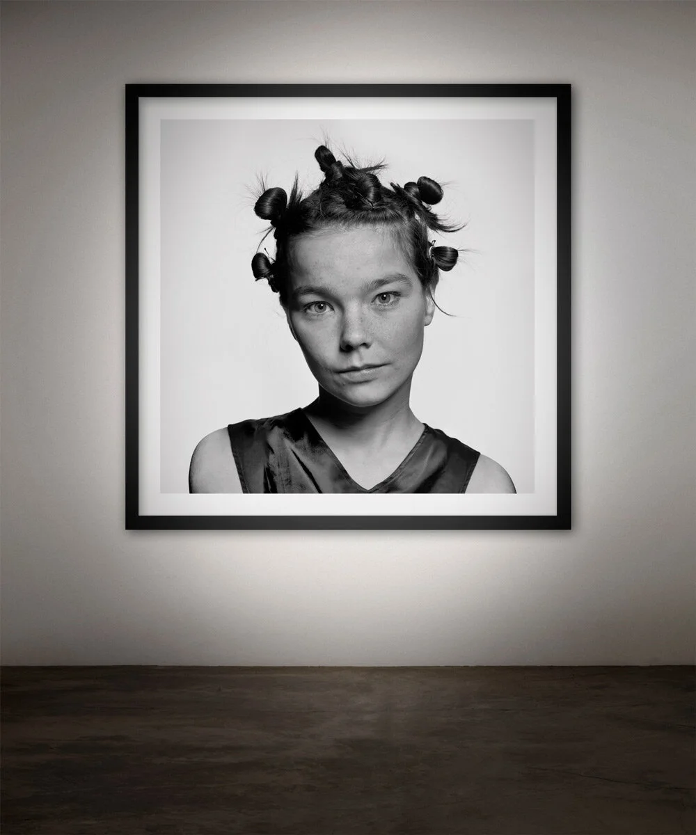 Björk2.jpg