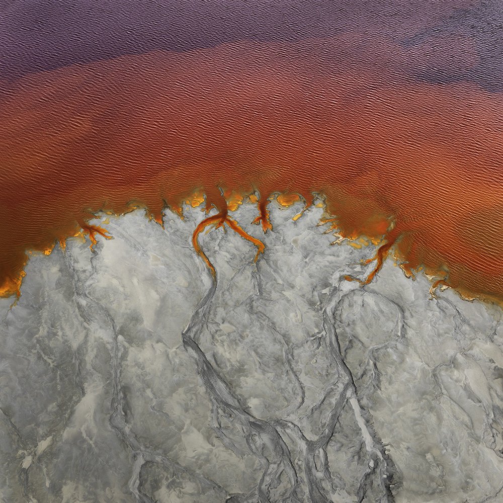 Colors of Poison #5.jpg