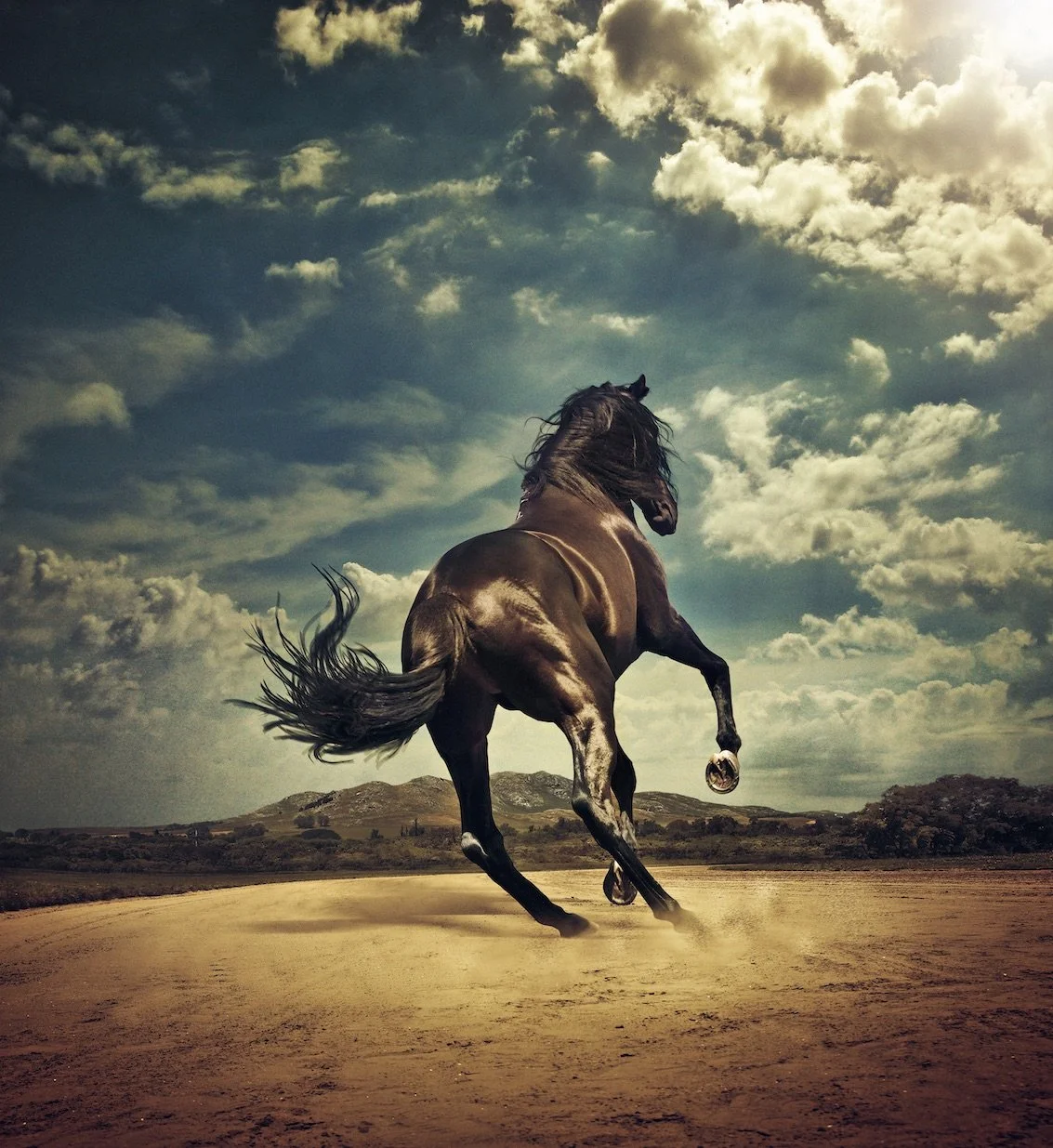 Stallion
Kalle Gustavsson
90x98 cm Edition of 15 / 4.000€
