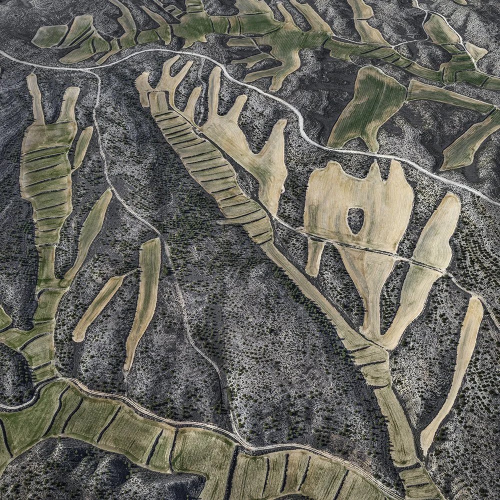 file_12000x8816_000634 1x1.jpg