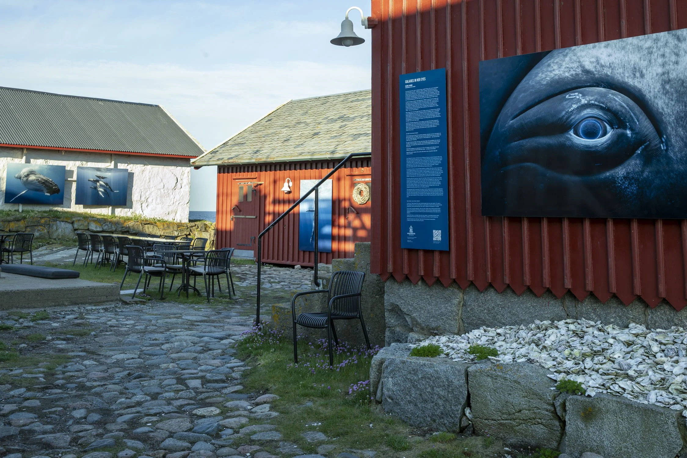 AO6I4544©Per OlssonASOW©Per Olsson.jpg