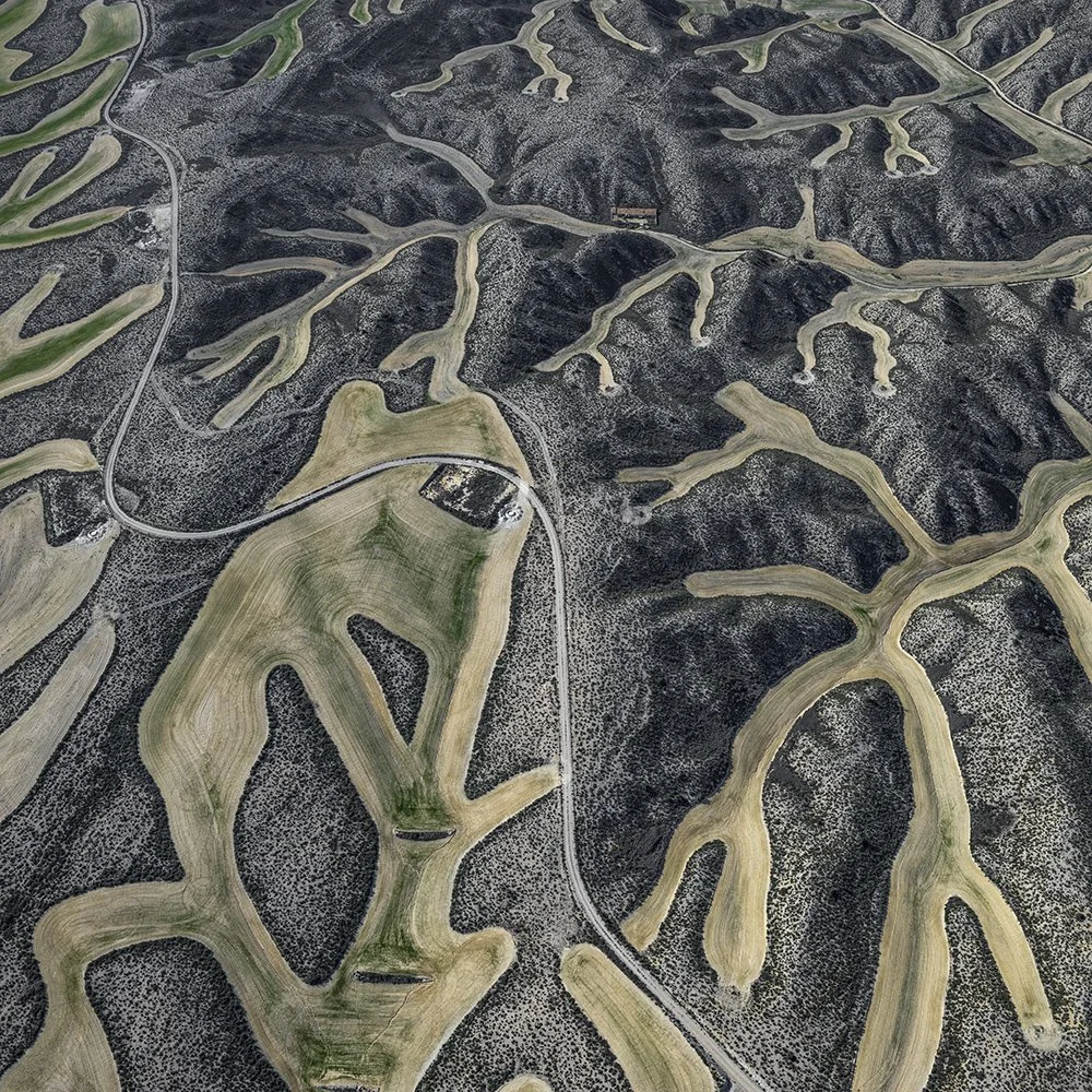 file_12000x8816_000668 1x1 skärpa.jpg