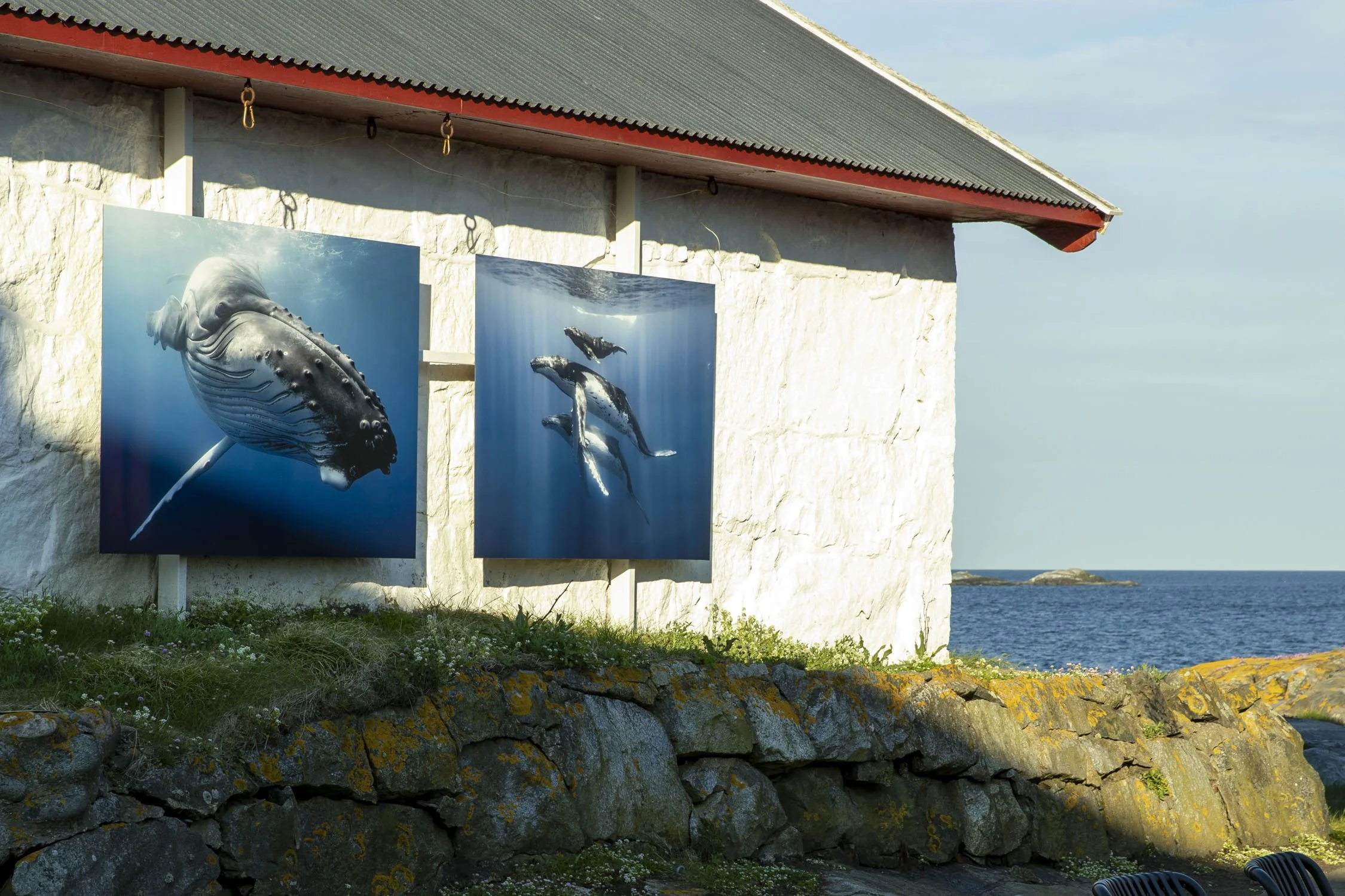 AO6I4539©Per OlssonASOW©Per Olsson.jpg