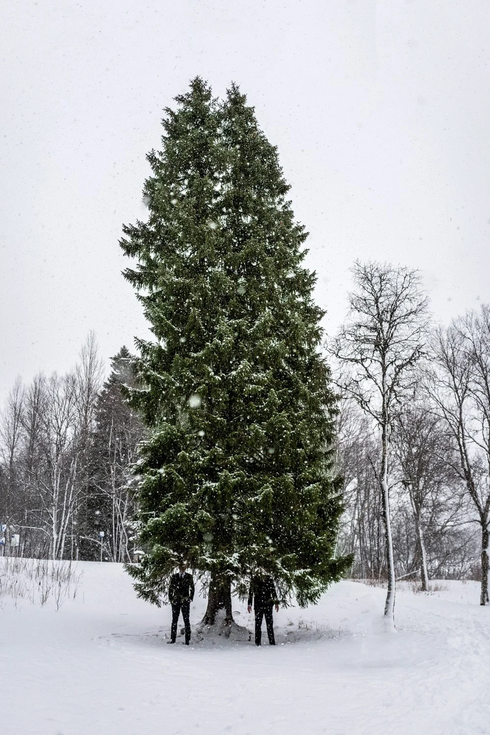 Soft-Spoken # 3
DEADLINE ART COLLECTIVE
100 x 150 cm. Edition of 19 / 1.800 €