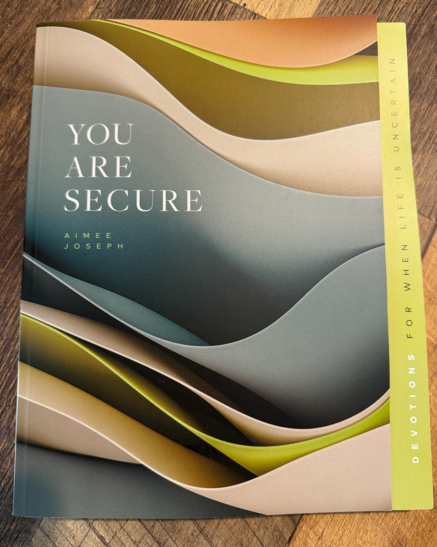 This new devotional book based on Colossians helps readers see their secure identity in Christ. Congrats to @aimeejosephwrites on writing this beautiful, encouraging book!