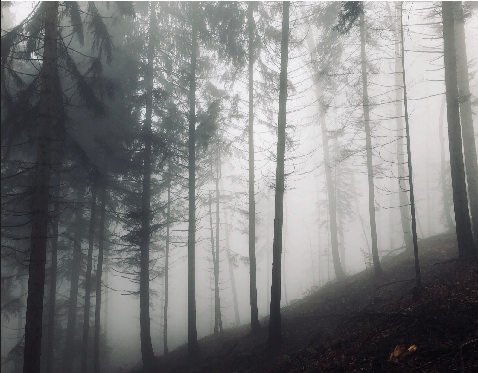 Trailbauer definiert