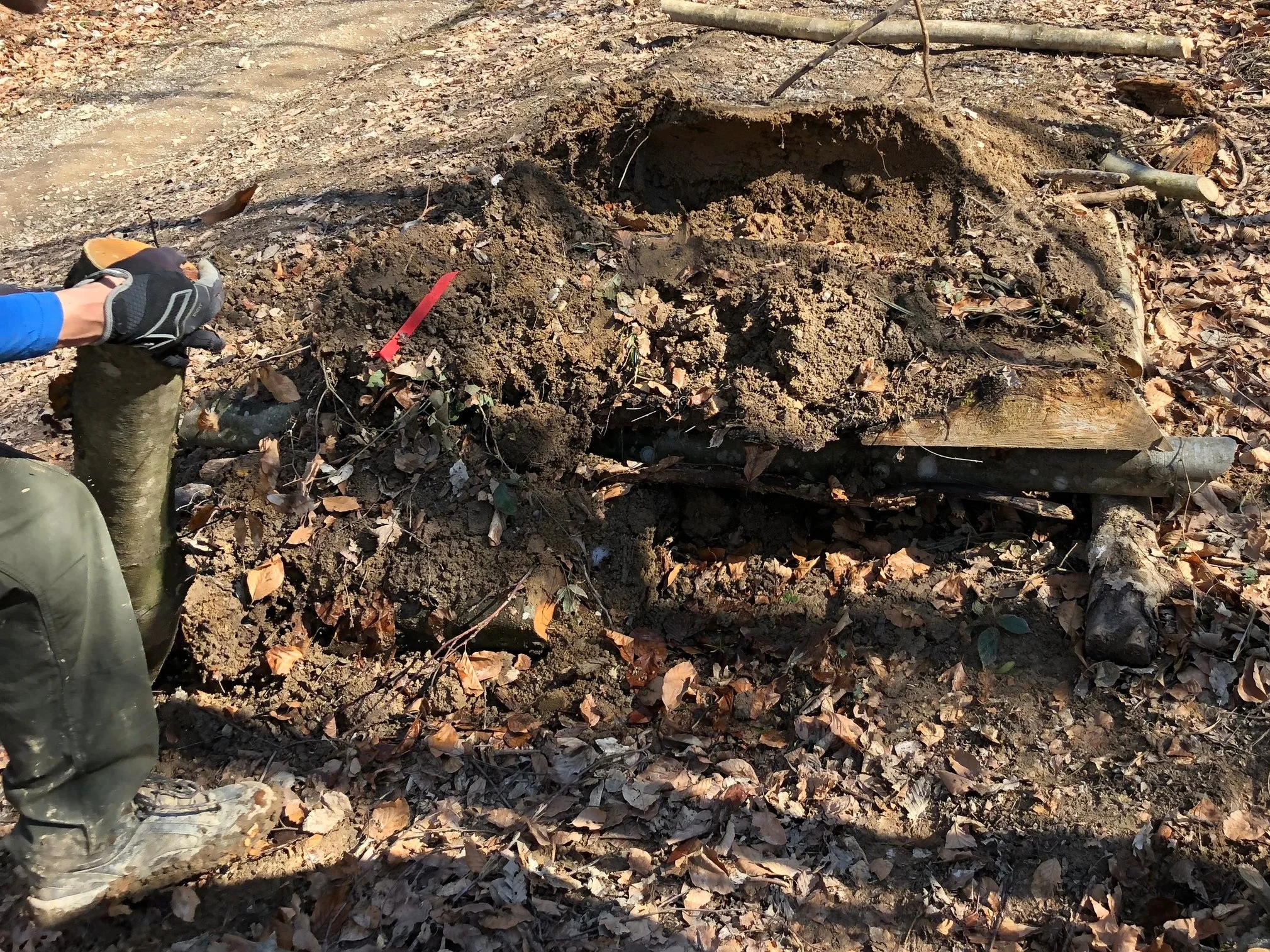 Illegale Trailbauten am Adlisberg