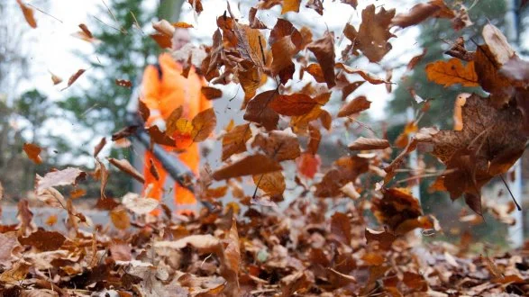 Trailwisch Antennetrail