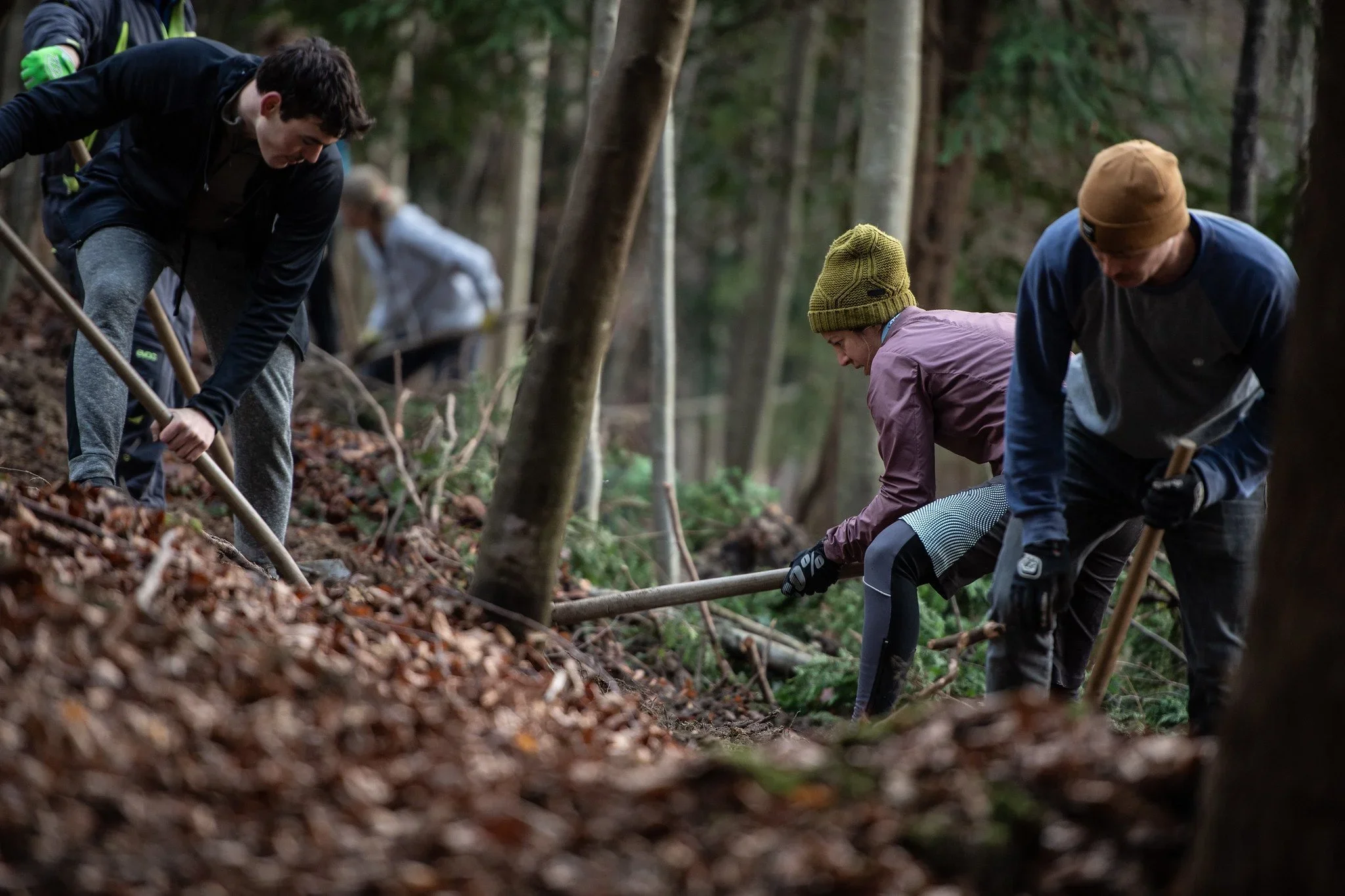 Höcklertrail Trailwisch