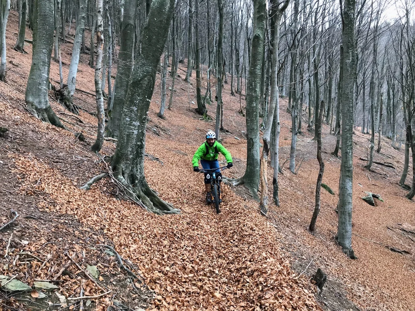 Züritrails BikeVentures