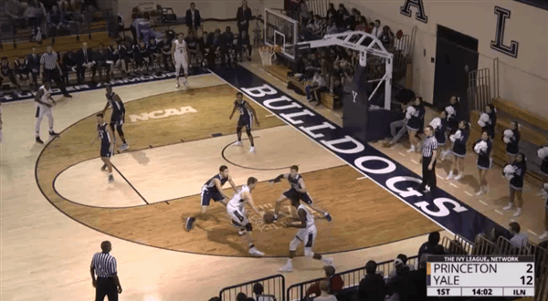 princeton 5-out.gif