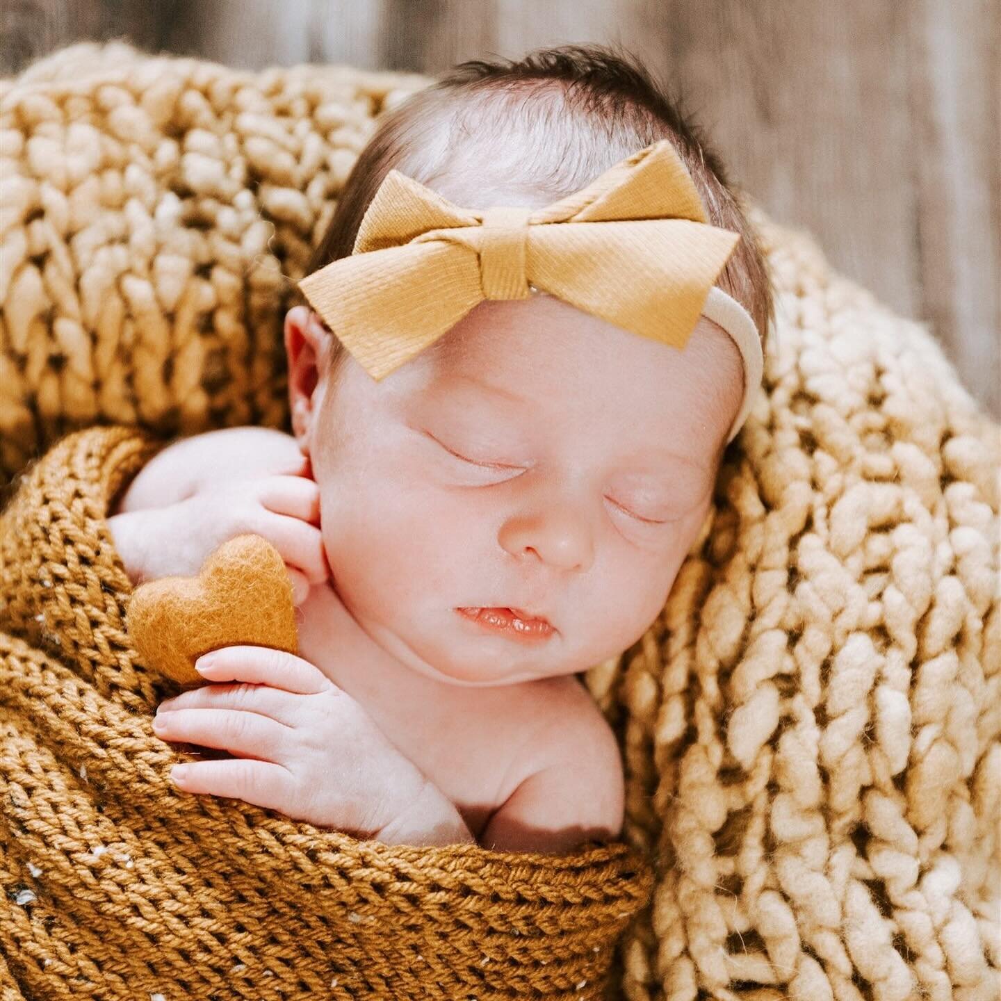 Baby Madelyn 💛 
I cannot say it enough - photographing newborns is an honor and privilege. I am so grateful to capture these little ones before they start growing. And dang, they grow fast 🥲