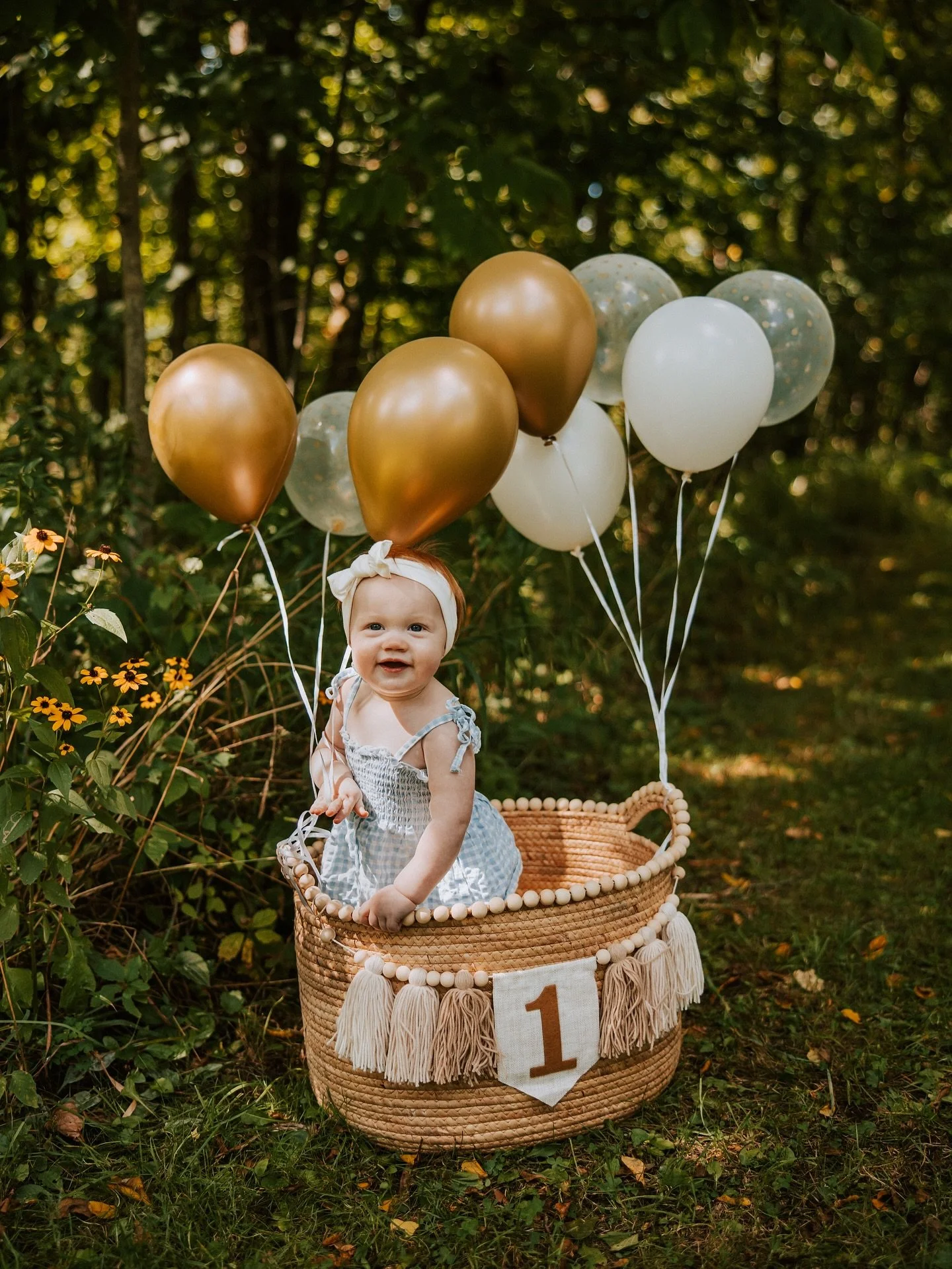 AJ 🌼
365 days of pure joy!