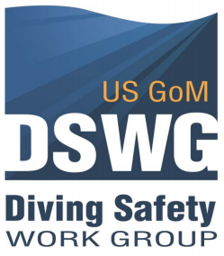dswg logo1.png