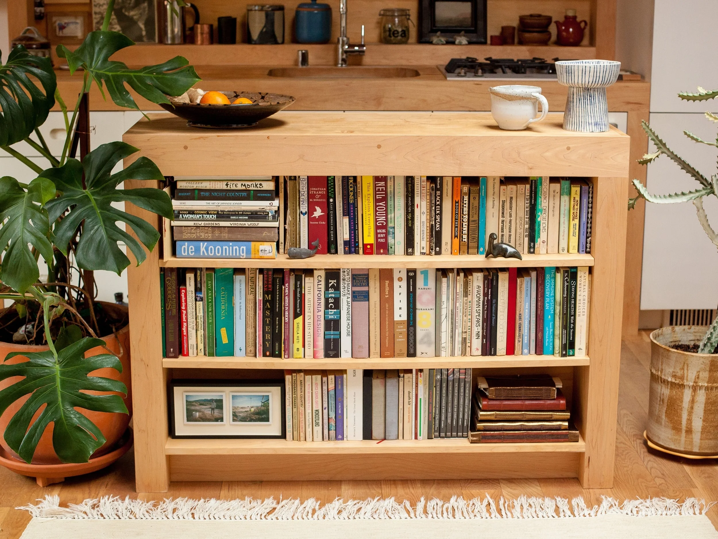 Double Island, Bookshelf Side.jpg