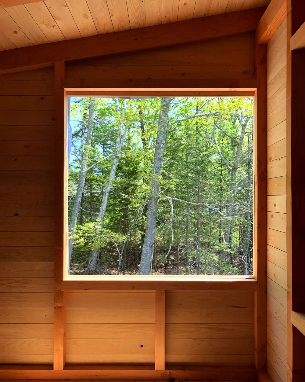 Cabin-East-Window.jpg