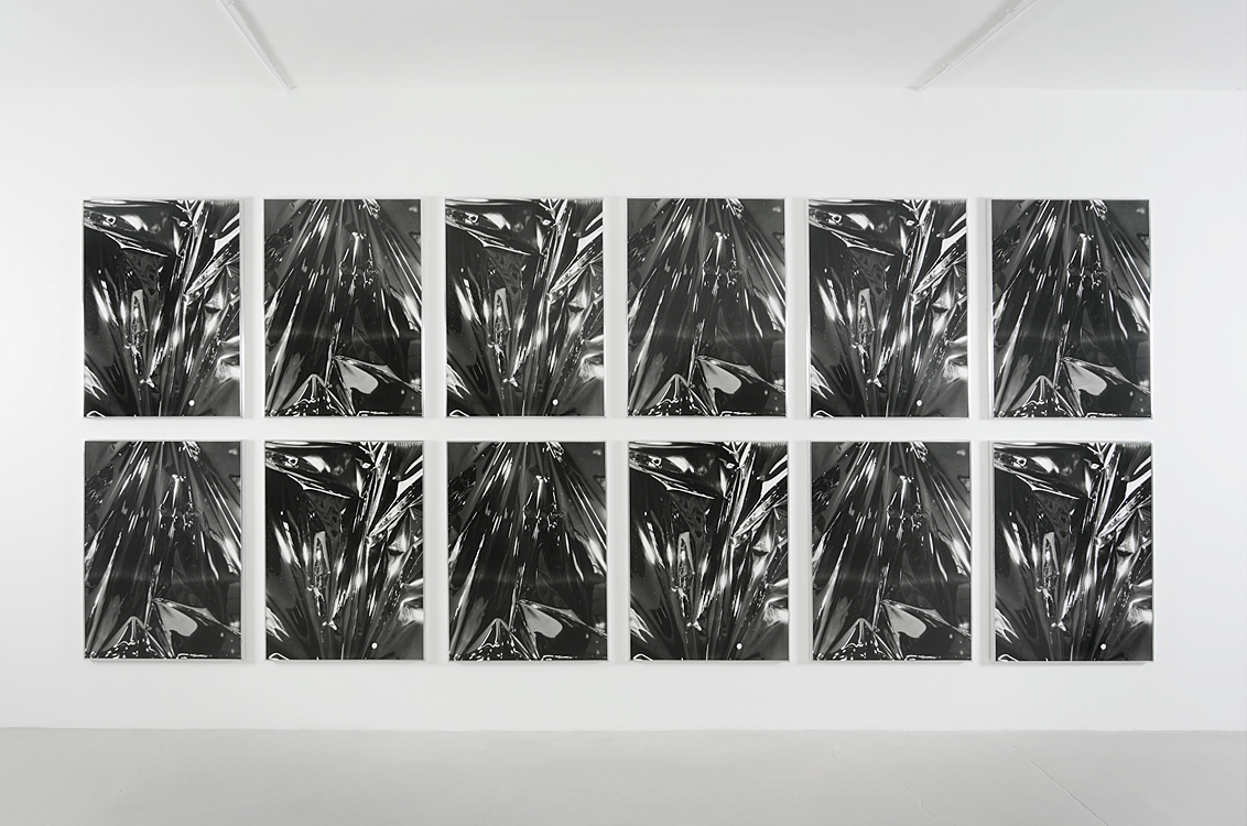   Twinned Mitsouko , 2008-2015  &nbsp;  12 Gelatin silver prints mounted on museum board and dibond   &nbsp;  40x30 inches each   &nbsp;  &nbsp; 