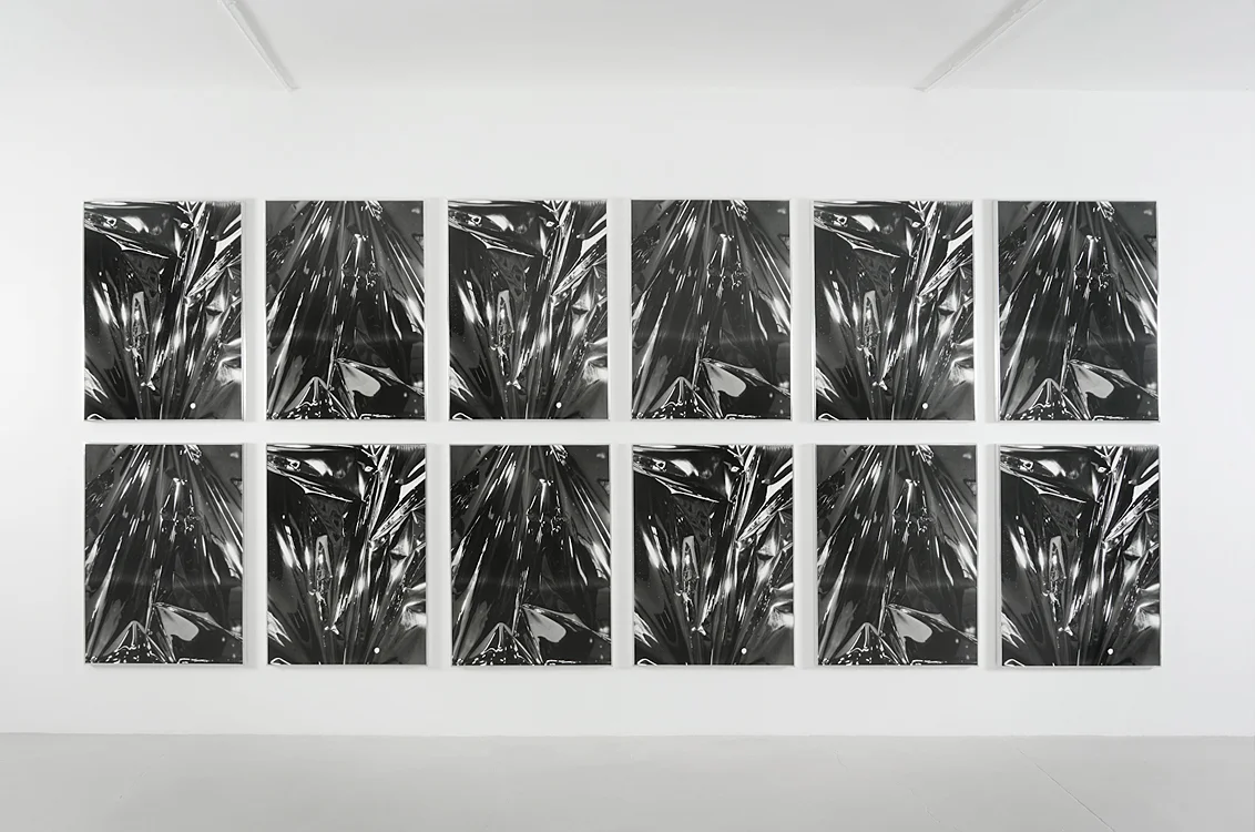 Twinned Mitsouko, 2008-2015 12 Gelatin silver prints mounted on museum board and dibond 40x30 inches each