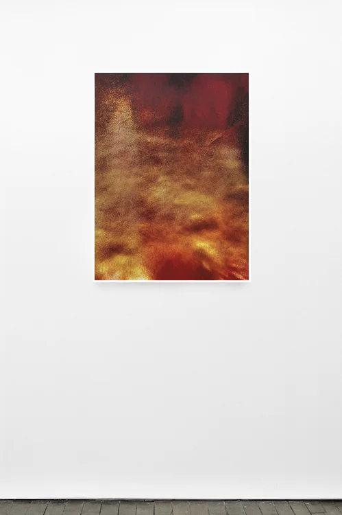 Double Charlie, 2015 (detail) 12 Chromogenic prints mounted on sintra 40 x 30 inches each