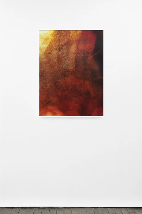 Double Charlie, 2015 (detail) 12 Chromogenic prints mounted on sintra 40 x 30 inches each