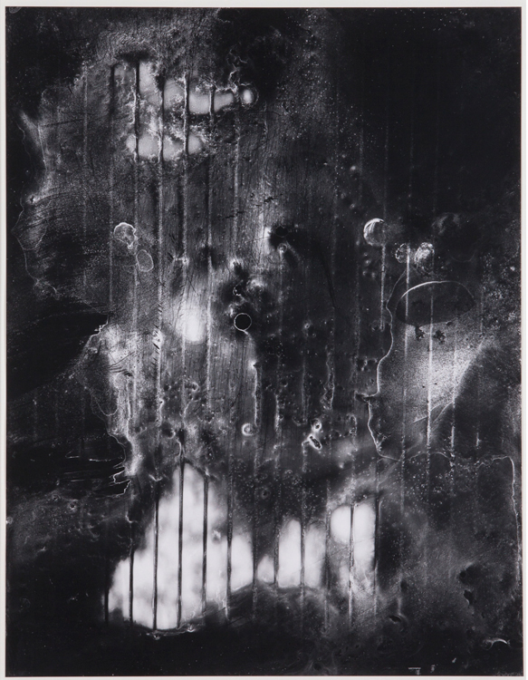   Mold Remediation,  2014  40 x 31 inches    