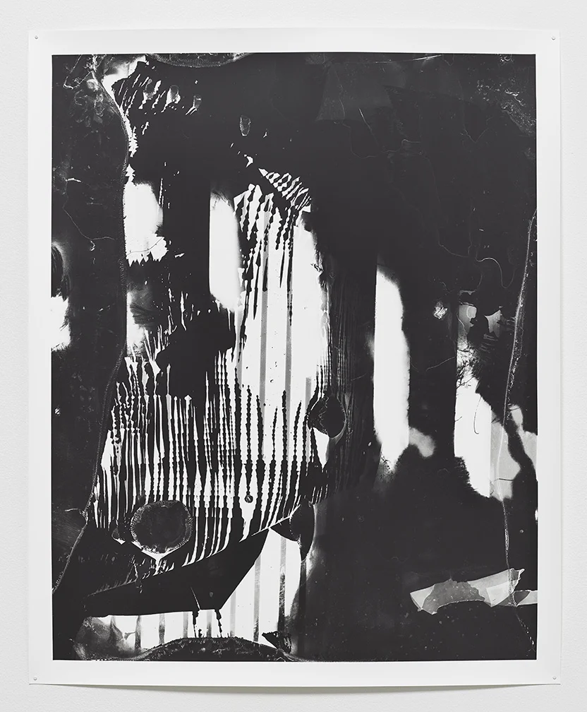 Toothless, 2013 25x20 inches