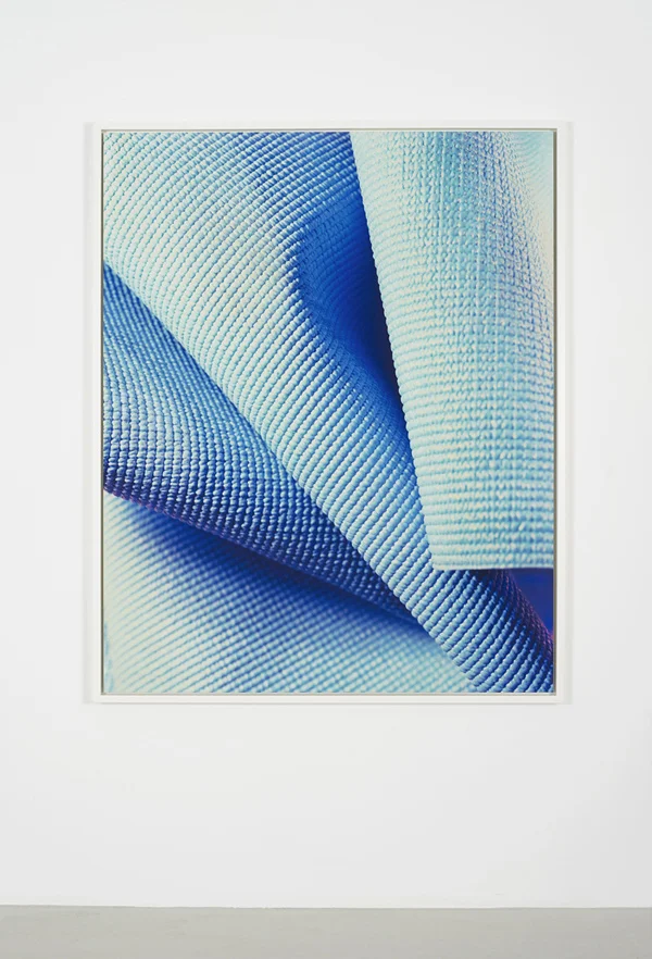 Amazon, 2012 Digital C-print mounted on aluminum 152.4 x 121.9 cm / 60 x 48 inches