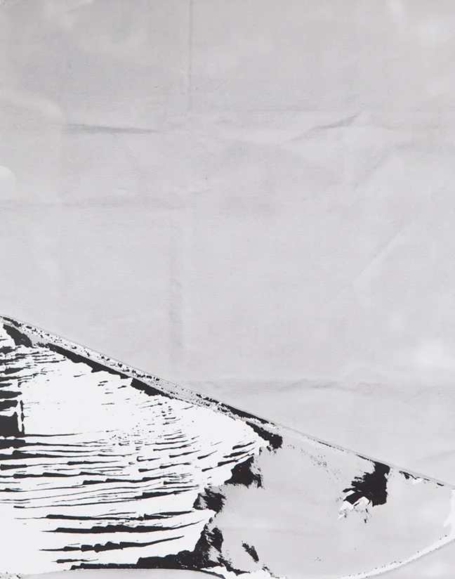 Tout va bien , 2010 60x50 inches